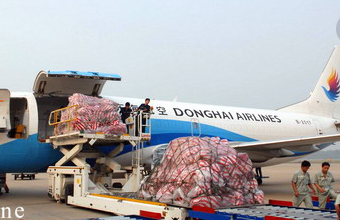 航空運(yùn)輸公司滿意而歸、為您的貨物保駕護(hù)航