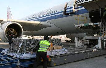 航空運輸公司提供更好、更快捷的貨運派送服務