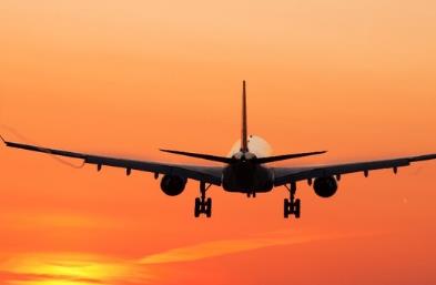 國(guó)際空運(yùn)中哪些貨物需要辦理鑒定報(bào)告
